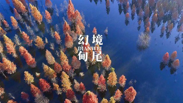 港股开盘｜恒生指数高开0.57% 东方甄选跌超6%
